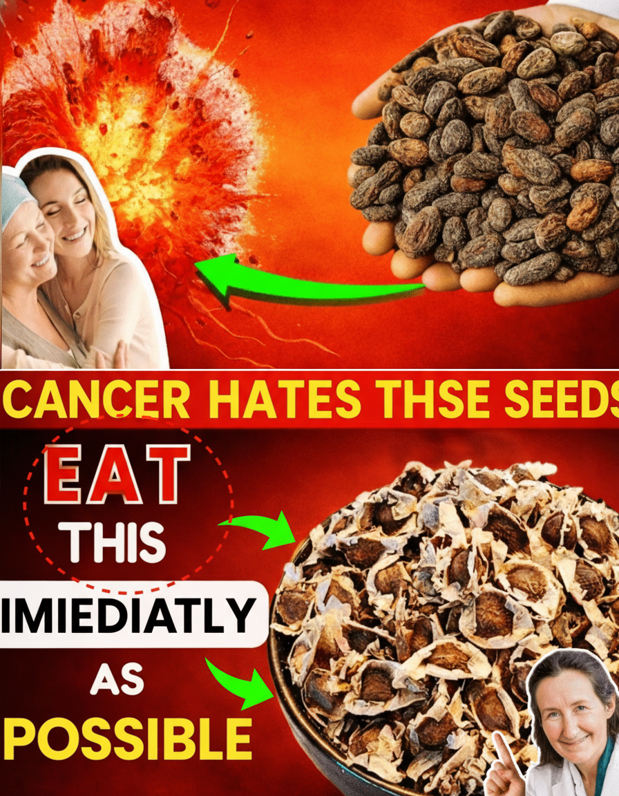 Unlock Nature's Shield: 6 Potent Seeds for Natural Cancer Resilience, Especially After 50