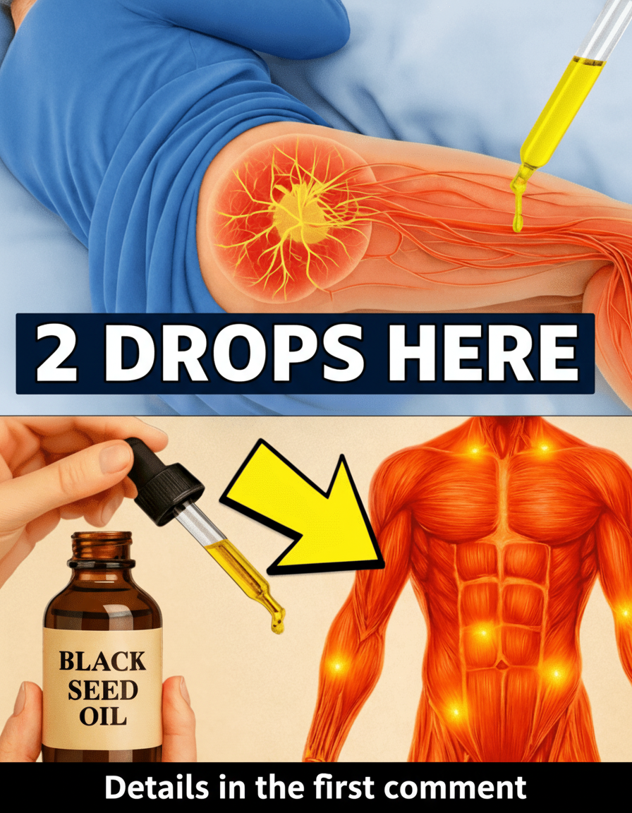 Black Seed Oil for Seniors: Harnessing Ancient Wisdom for Enhanced Wellness