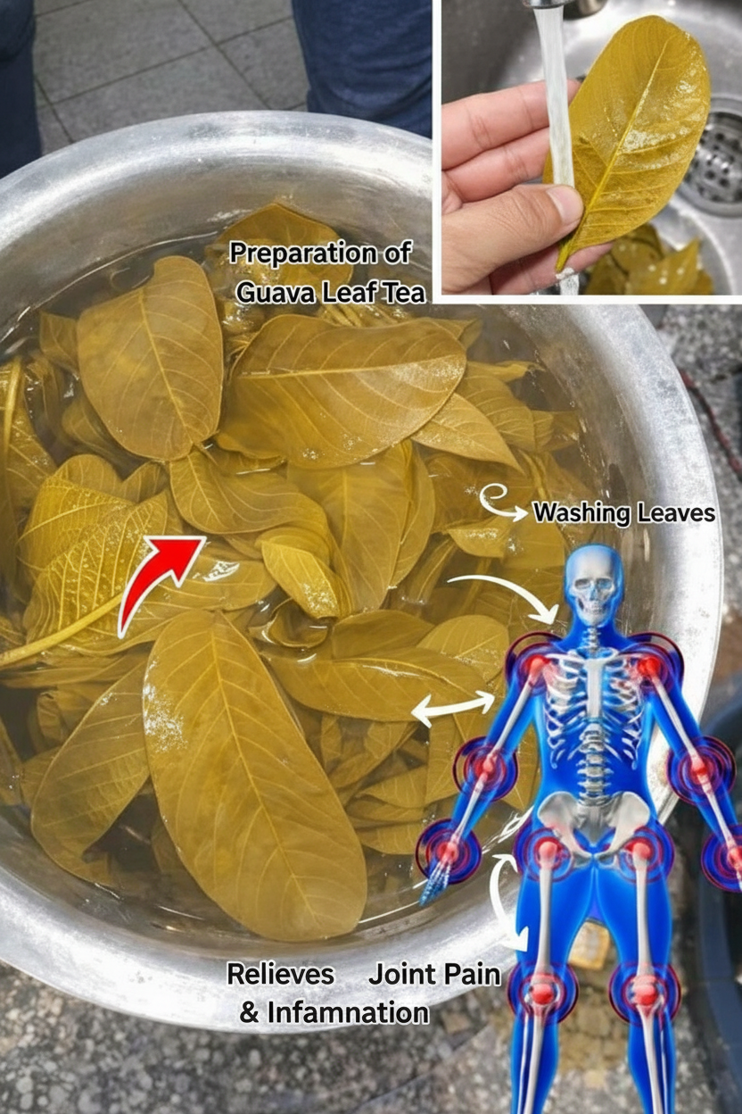 Guava Leaf Tea: A Comprehensive Guide to 17 Science-Backed Benefits for Enhanced Daily Wellness