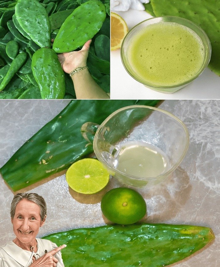 Nopal Cactus and Lime Juice for Natural Detox: 10 Key Insights You Need to Know