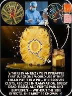 STOP Wasting Your Pineapple! The Core You Throw Away Is a Hidden Superpower for Your Health 🍍