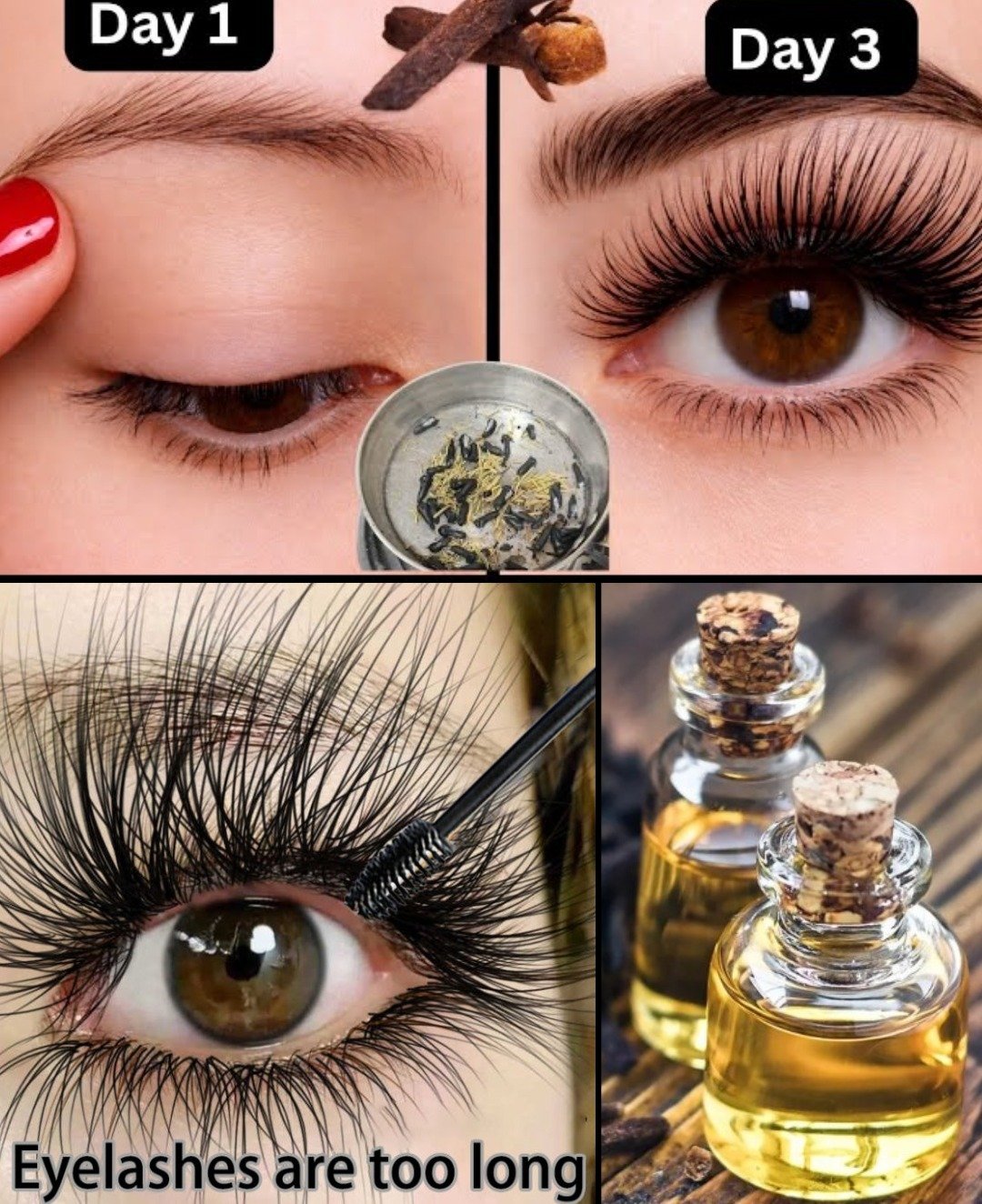 Unlock Thicker Eyebrows and Longer Eyelashes in Just 7 Days with This Natural Clove Oil Remedy