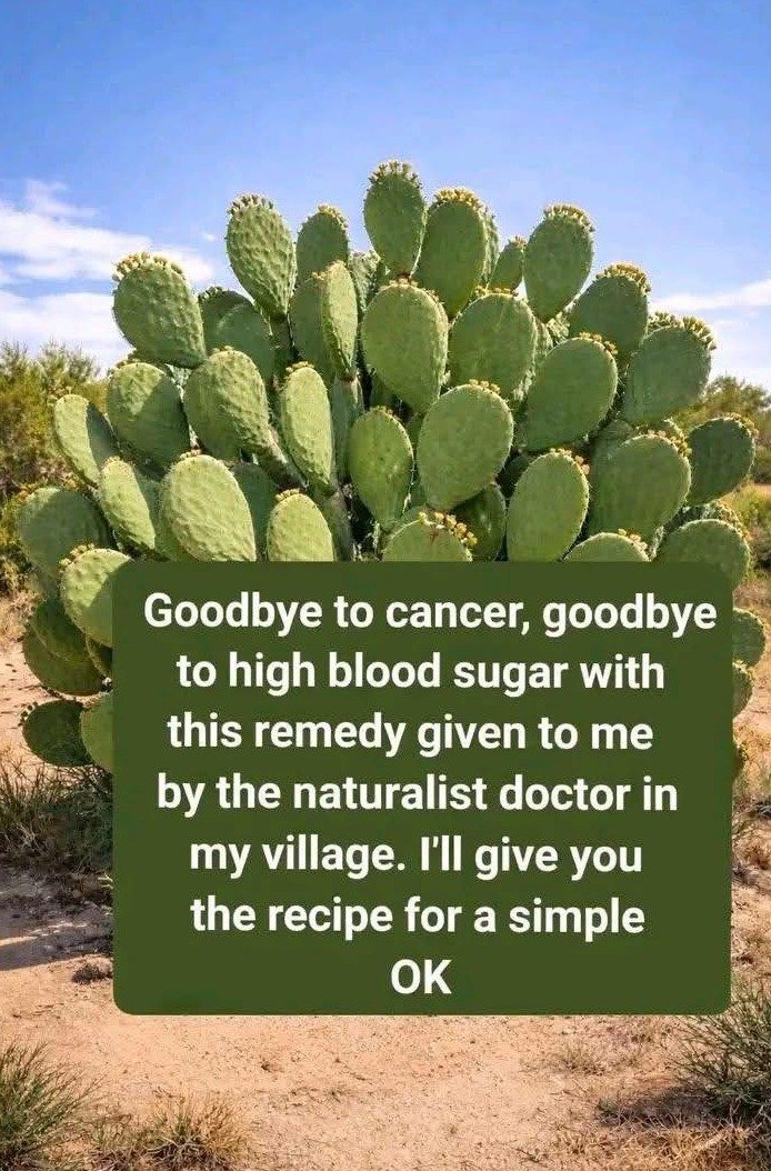 The Desert's Hidden Secret: 8 Shocking Health Benefits of Prickly Pear Cactus You Can't Ignore!