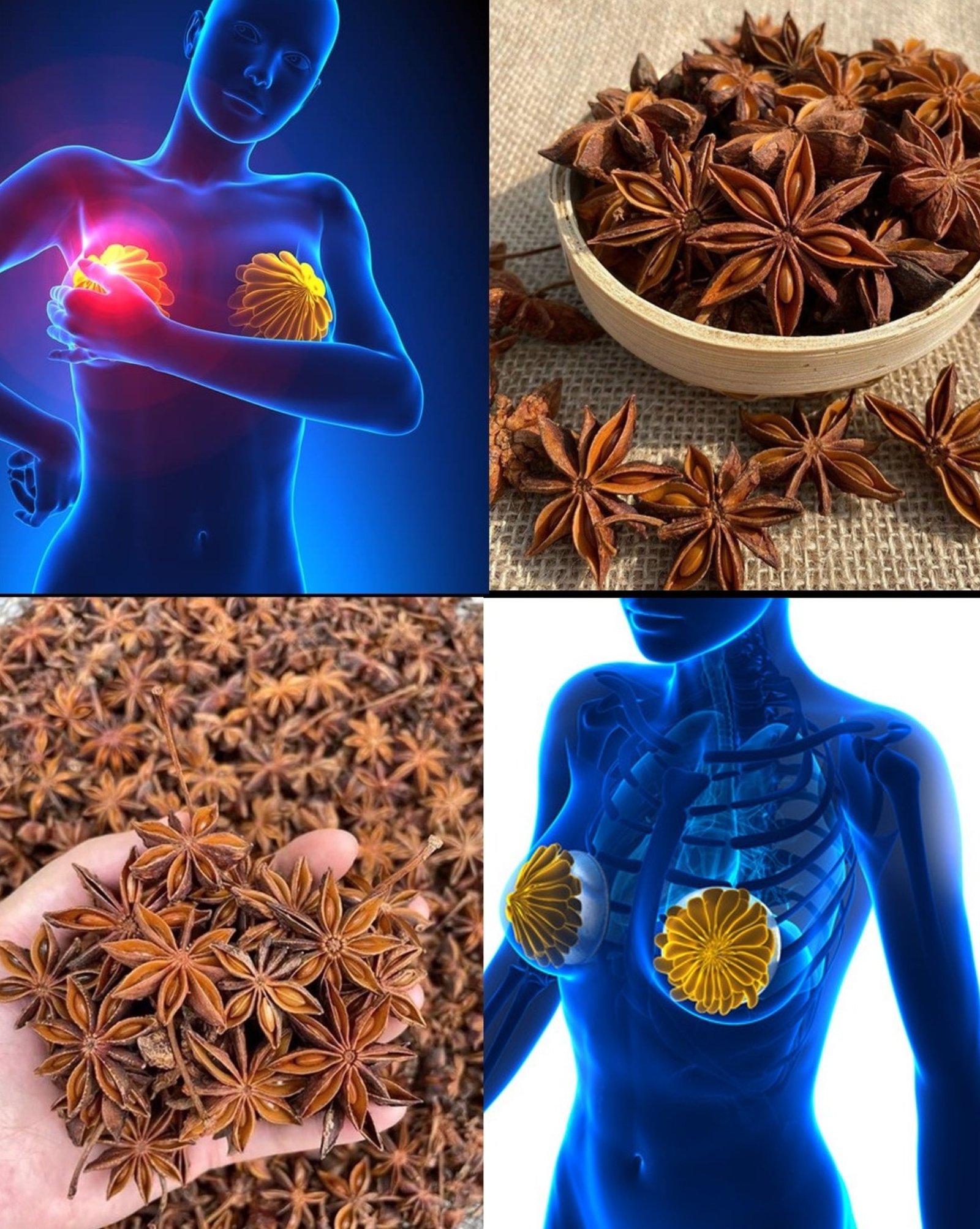 The ONE Tiny Seed 75% of Women Are Missing for Hormonal Harmony & Gut Bliss (Don't Miss Out!)