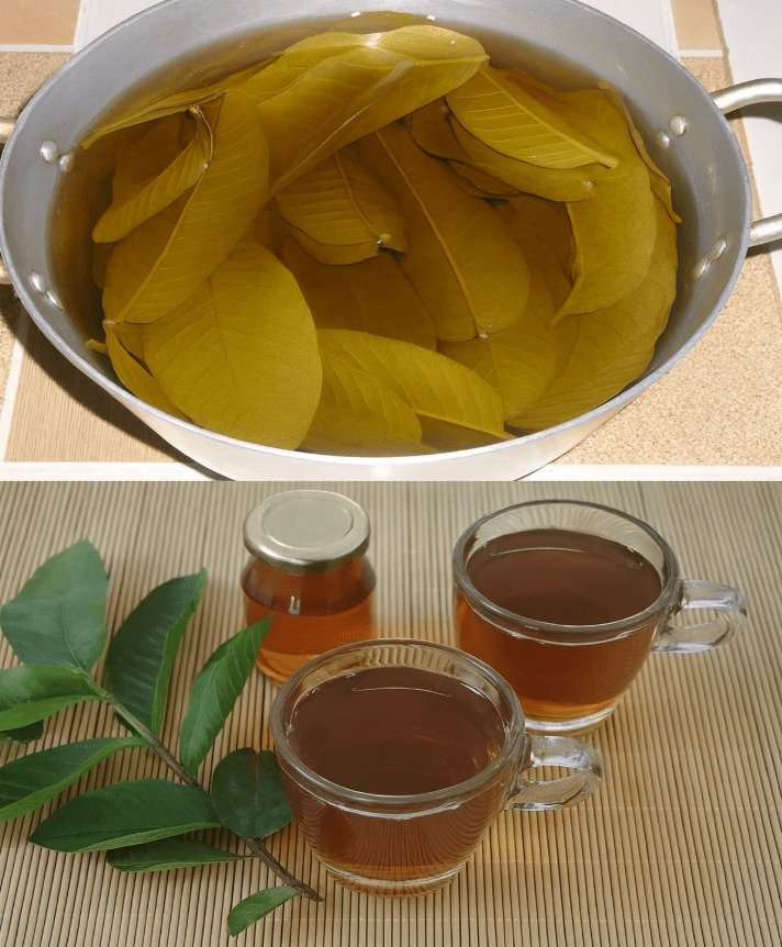 Guava Leaf Tea: Unlocking Nature's Potential for Holistic Health