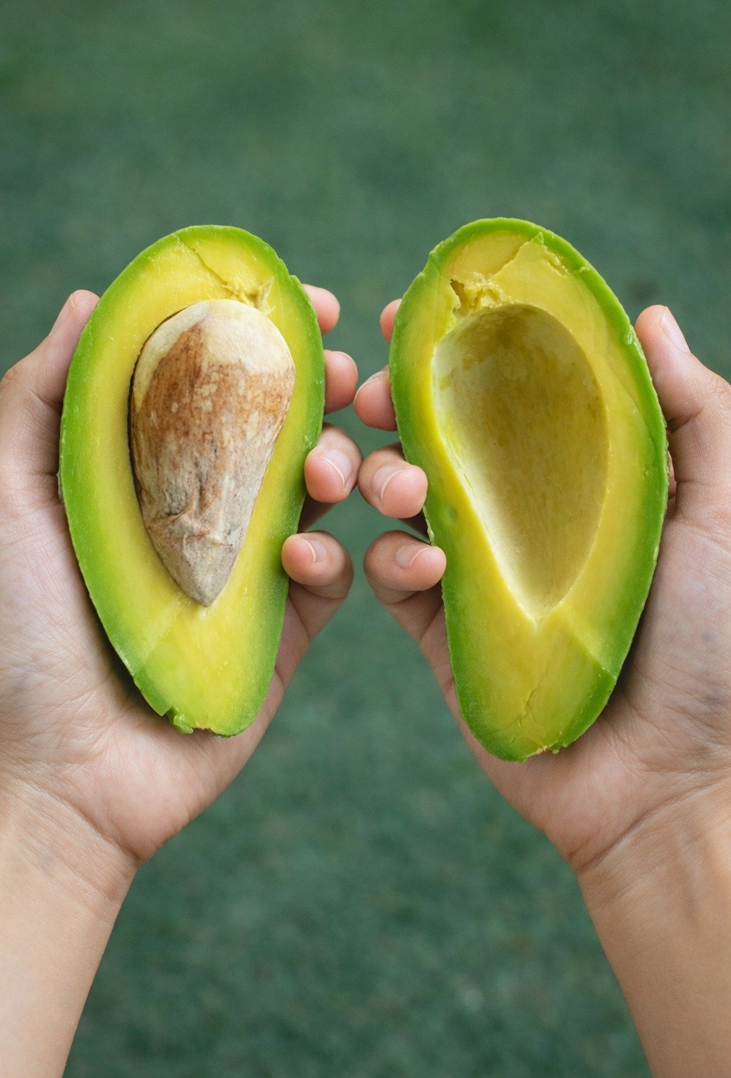 The Mighty Avocado: 10 Remarkable Health Benefits That Make It a Dietary Must-Have