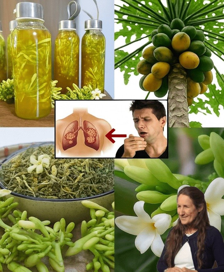 Unveiling the 12 Remarkable Health Benefits of Papaya Flowers