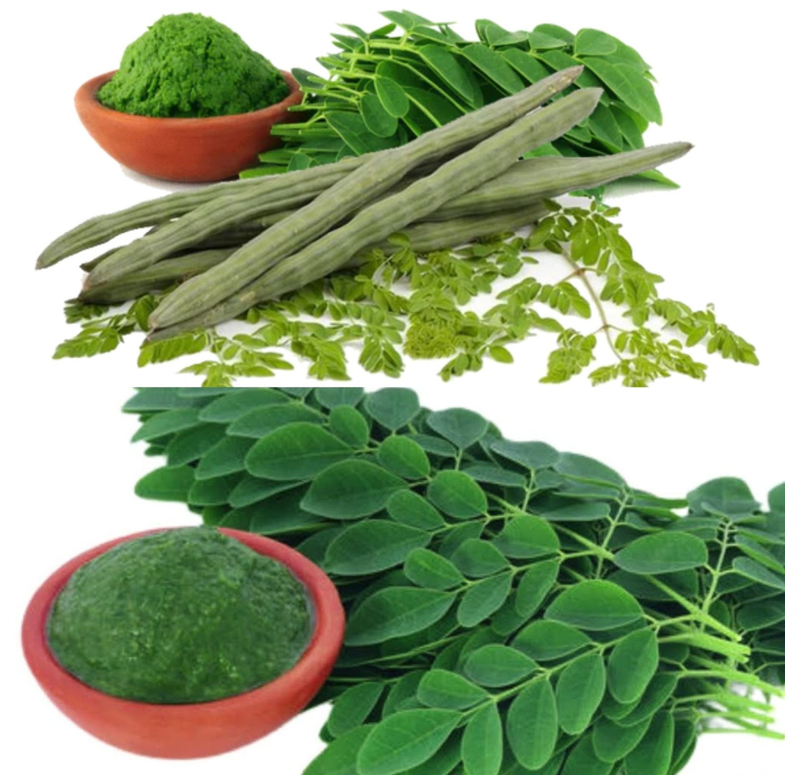 Nature's Wellness Toolkit: Exploring Powerful Natural Remedies