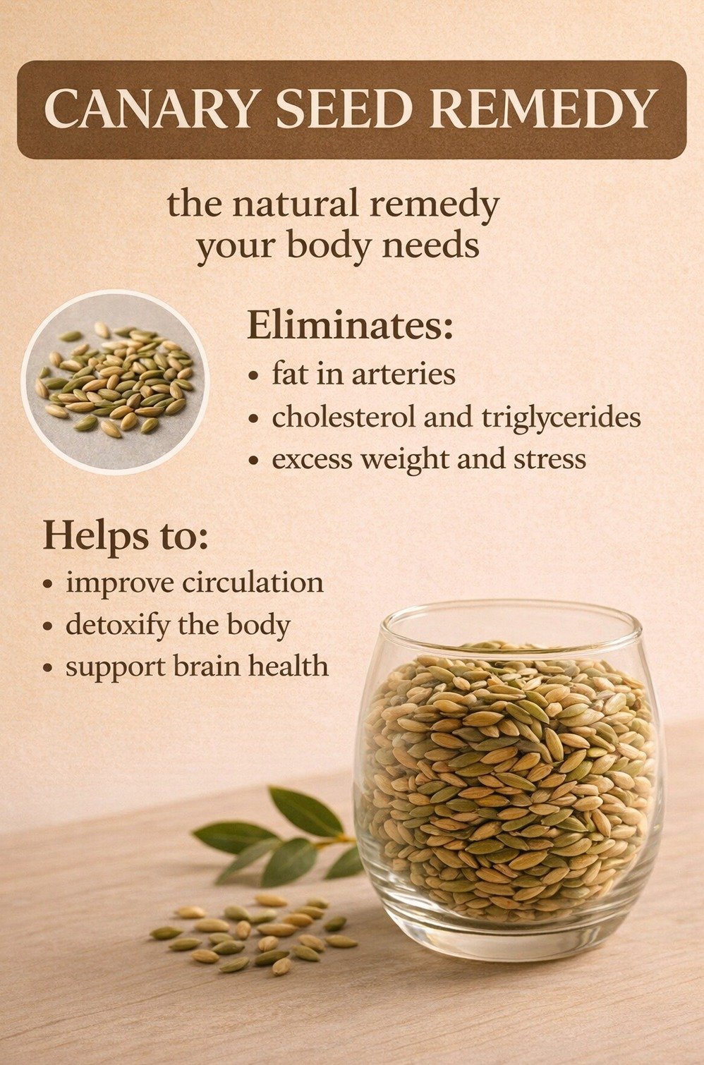 The ONE 'Miracle Seed' You're NOT Using for Weight Loss & Blood Sugar Control (Alpiste Revealed!)