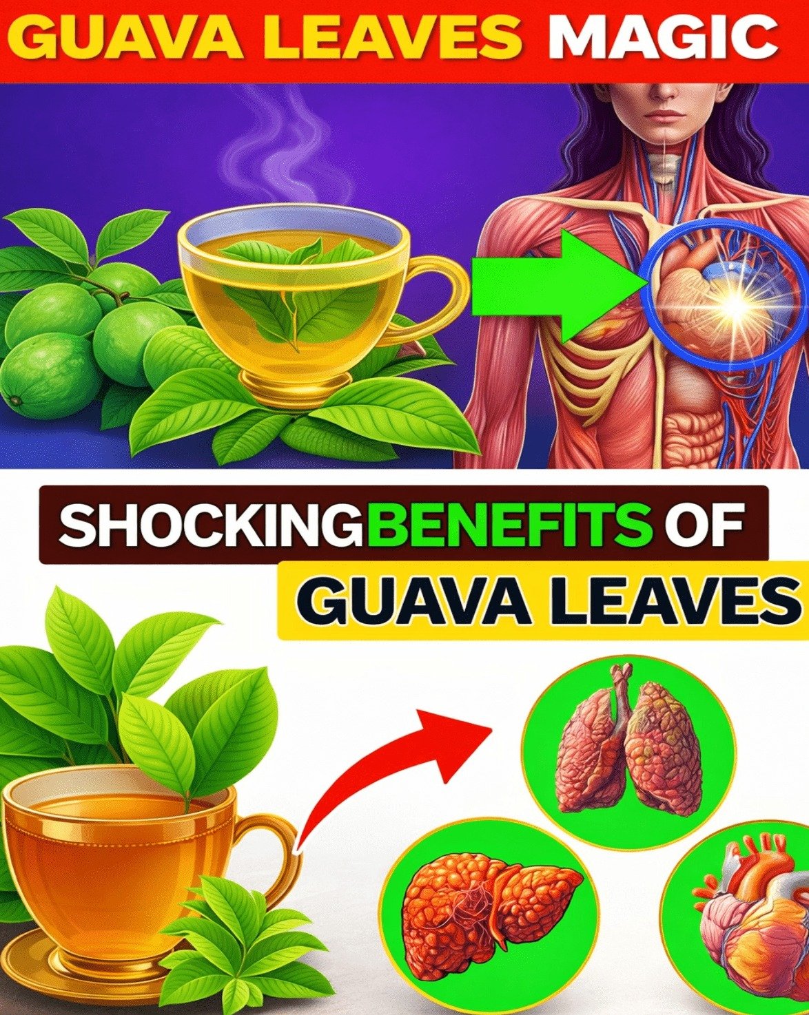 Unlock 9 Game-Changing Health Secrets: Why Guava Leaf Tea Is the Natural Elixir You Can't Afford to Ignore (Easy DIY Guide Inside!)