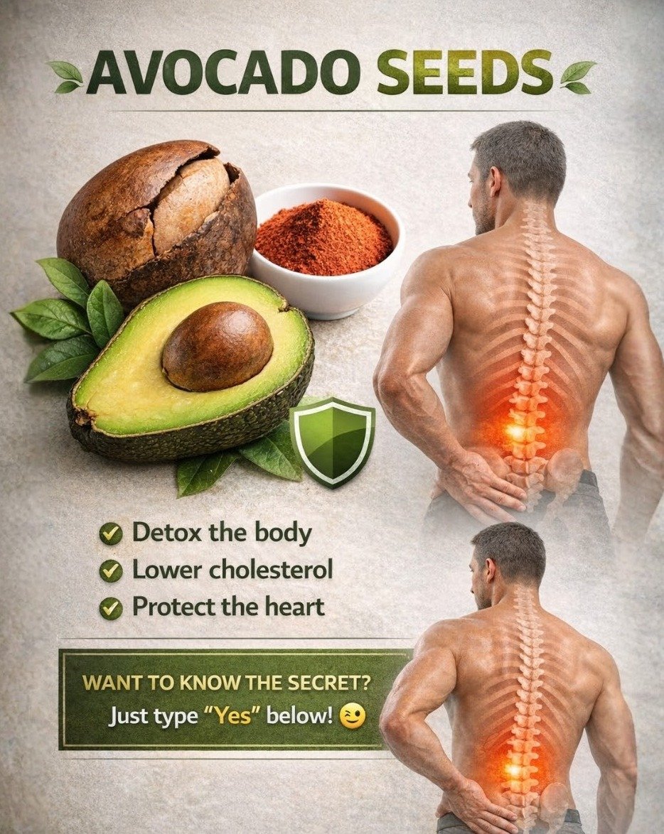 Stop Throwing Them Away! Your Avocado Seeds Are Hiding 20 Shocking Health Benefits You NEED to Know