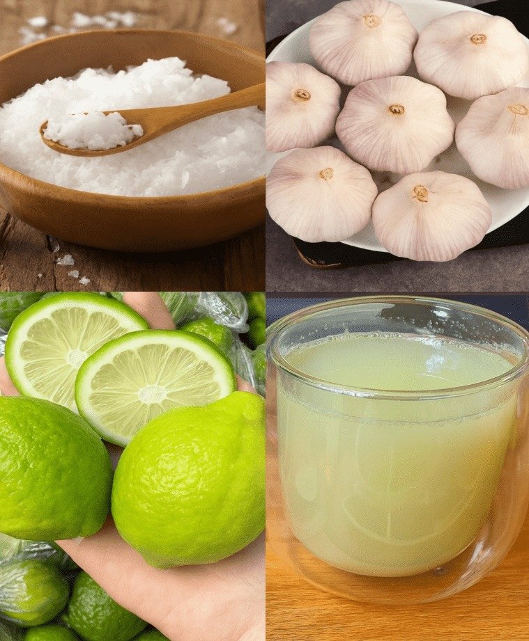 Unlocking Wellness: The Simple Healing Power of Garlic, Lime, and Salt Drink