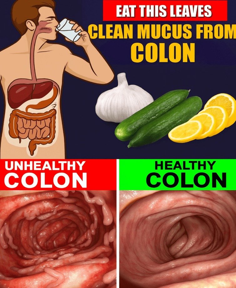 Unlock Optimal Digestion: 14 Transformative Strategies for a Healthy Colon