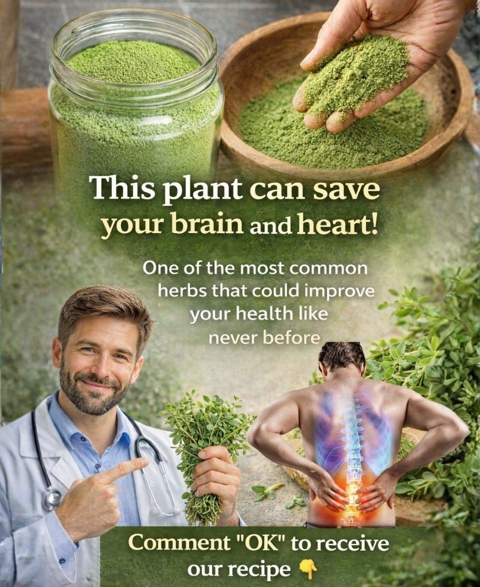 Unveiling Purslane (Portulaca oleracea): Nutritional Riches, Health Benefits, and Easy Culinary Uses