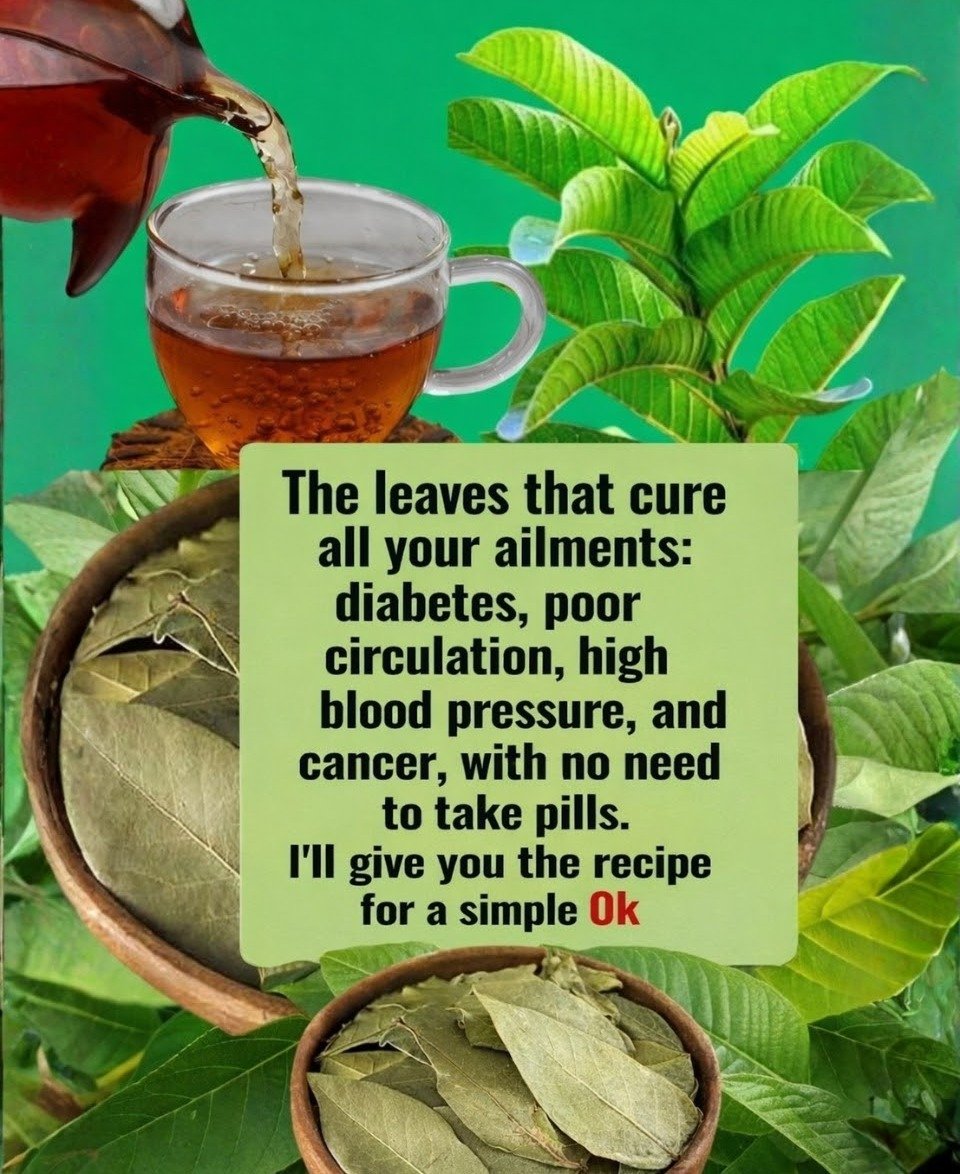 Exploring Natural Leaves for Supporting Healthy Blood Sugar Levels