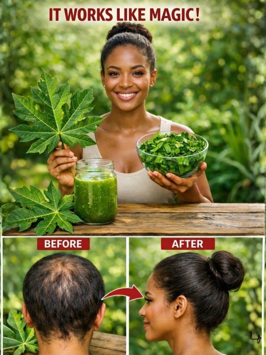 The Viral Secret to Stunning Hair: Why Papaya Leaves Are About to Revolutionize Your Routine!