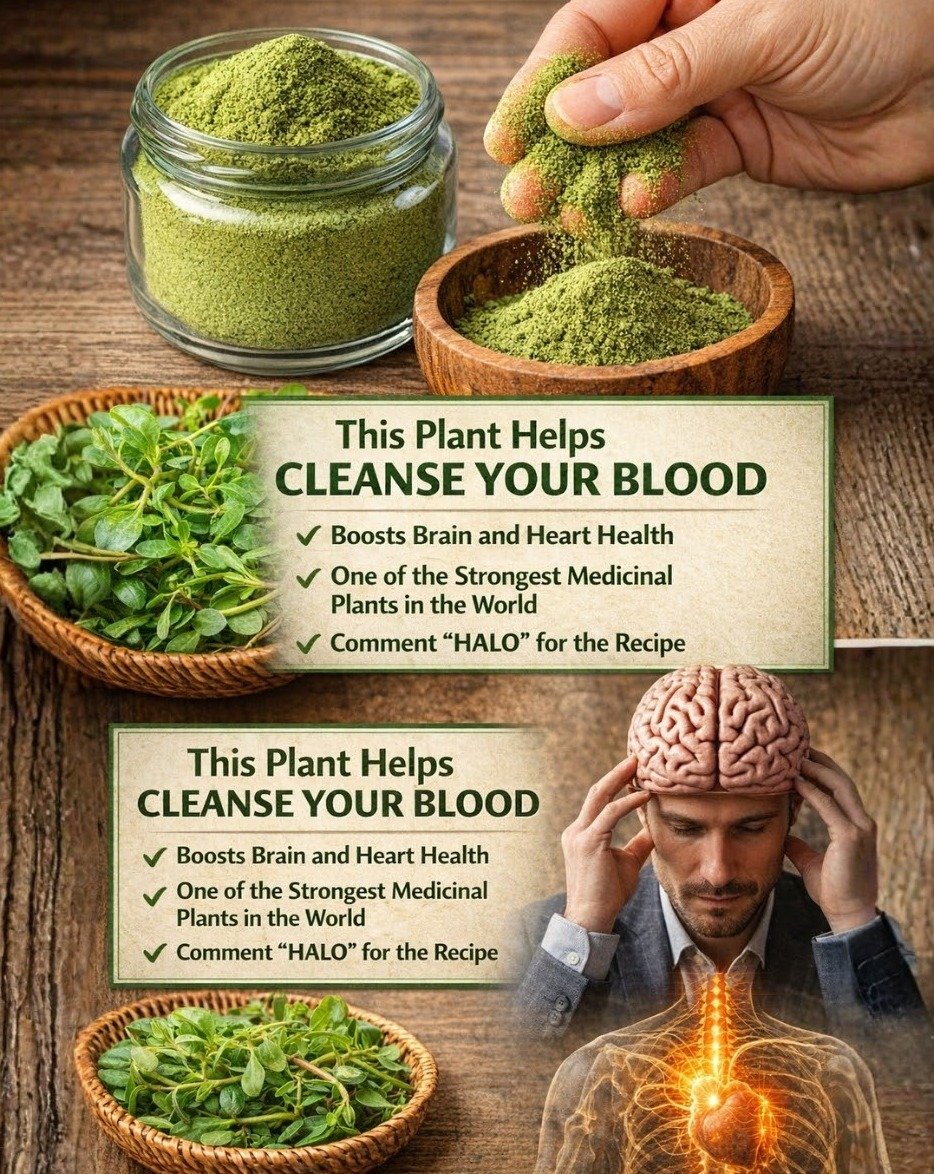STOP Scrolling! This Common 'Weed' Is a Nutritional Goldmine You're Missing Out On (and It's FREE!)