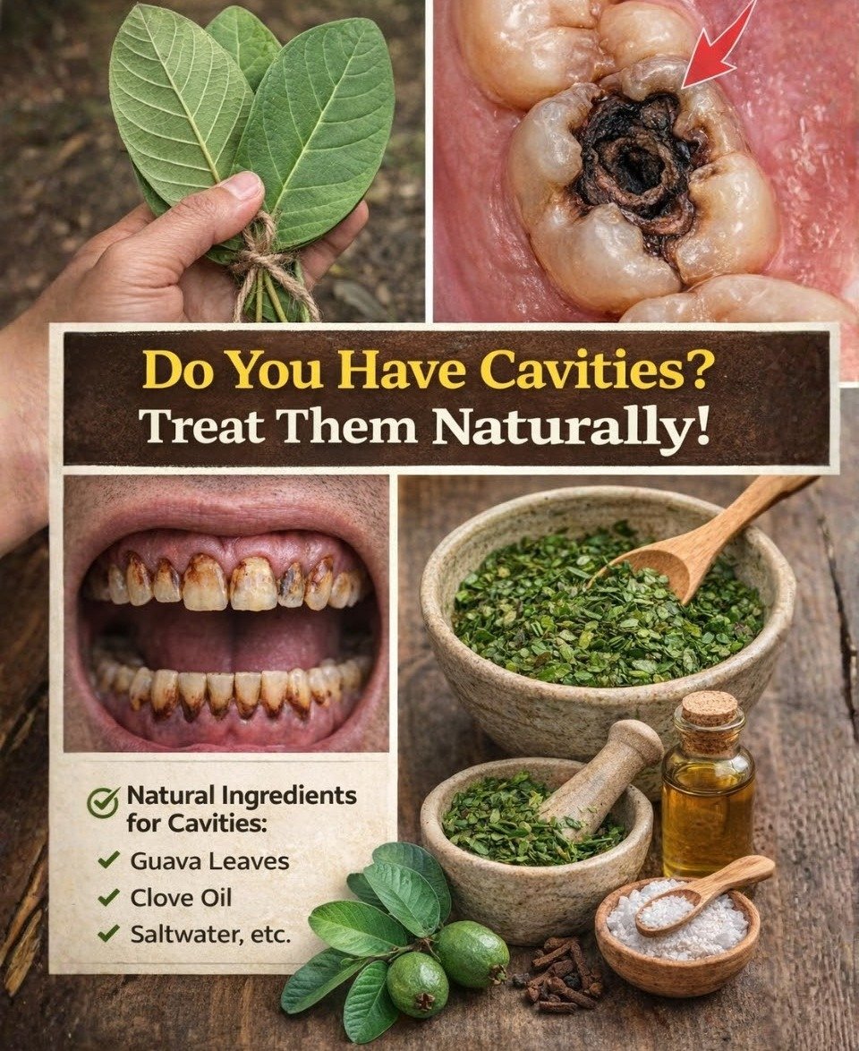 Harnessing Guava Leaves: Natural Approaches for Enhanced Oral Hygiene