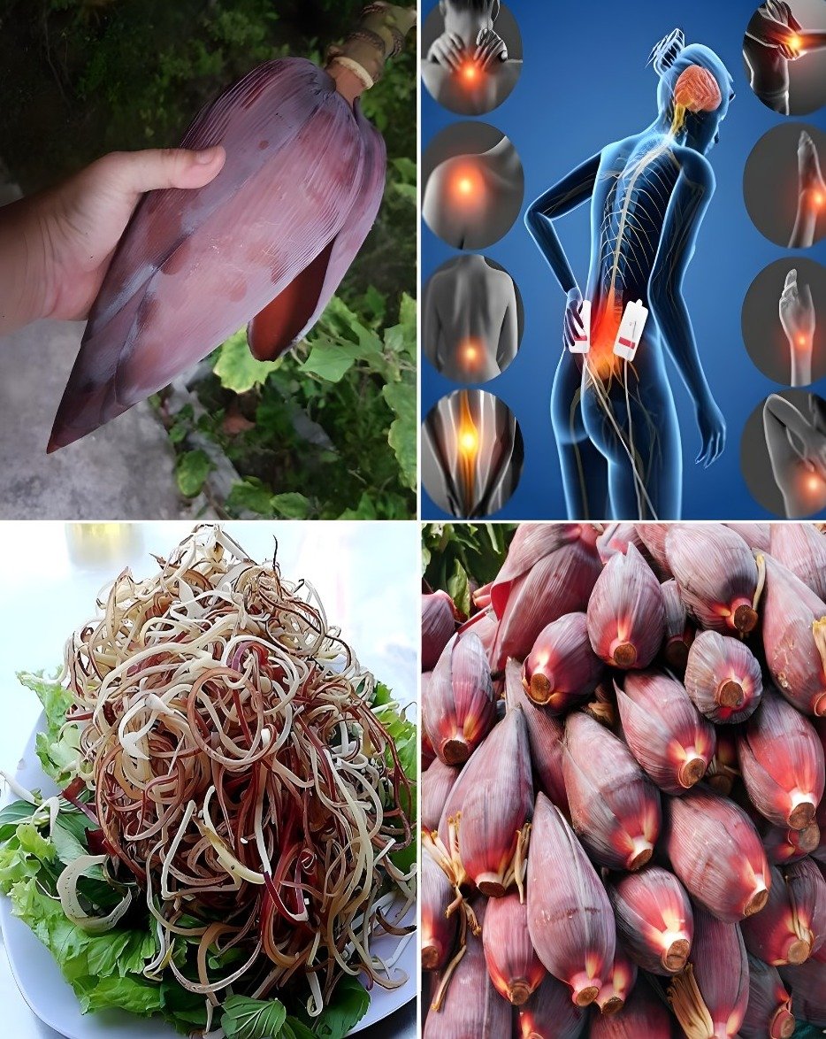 Stop Ignoring This Plant! 7 Jaw-Dropping Health Benefits of Banana Blossom You're Missing Out On