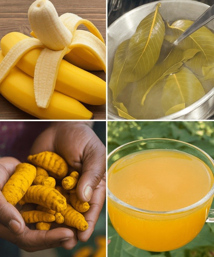 Harnessing Nature's Power: A Healing Drink with Banana, Guava Leaves, and Turmeric