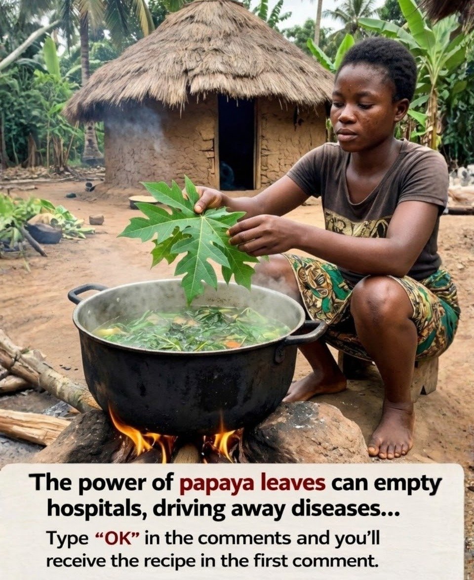 Unveiling the Power of Boiled Papaya Leaves: Benefits, Traditional Wisdom, and Natural Preparation