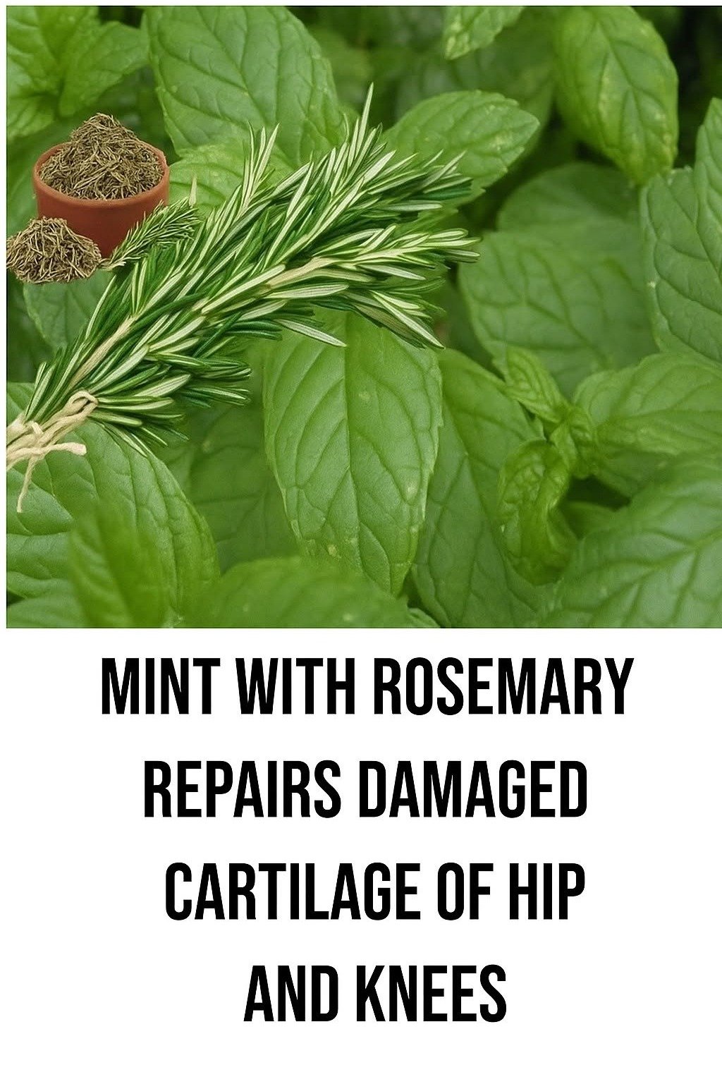 Healing By Nature: Natural Paths to Wellness