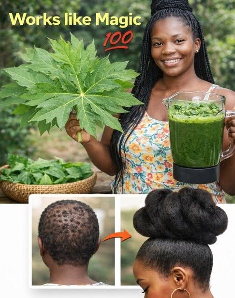 Warning: Don't Use Papaya Leaves for Hair Growth Unless You're Ready for These 15 Jaw-Dropping Transformations!
