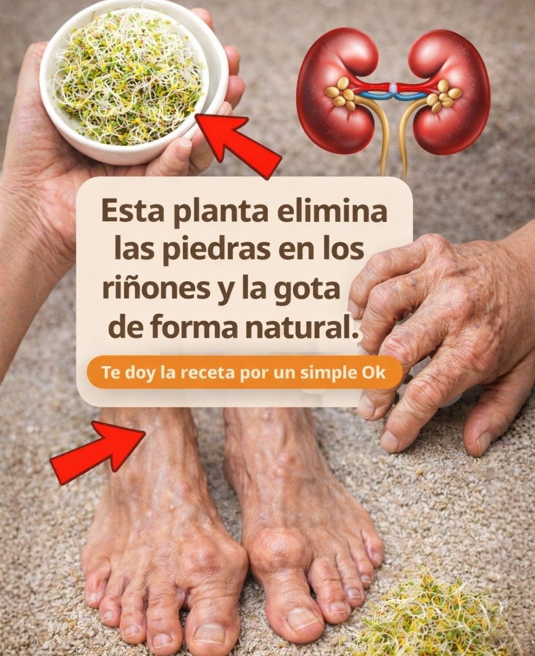 Discover This Plant for Enhanced Kidney and Joint Health After 60