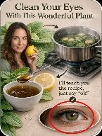 Unlock Your Best Vision: The Ancient Herb You Need to Add to Your Diet NOW for Unbelievable Eye Health Benefits!