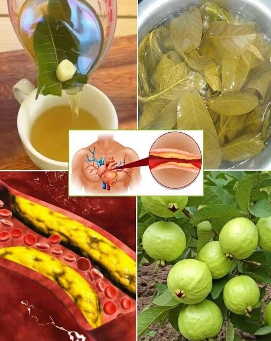 Forget High-Dose Pills: This Ancient Warm Drink Secret Is Your Key to Effortless Circulation (And Why Consistency Changes EVERYTHING)