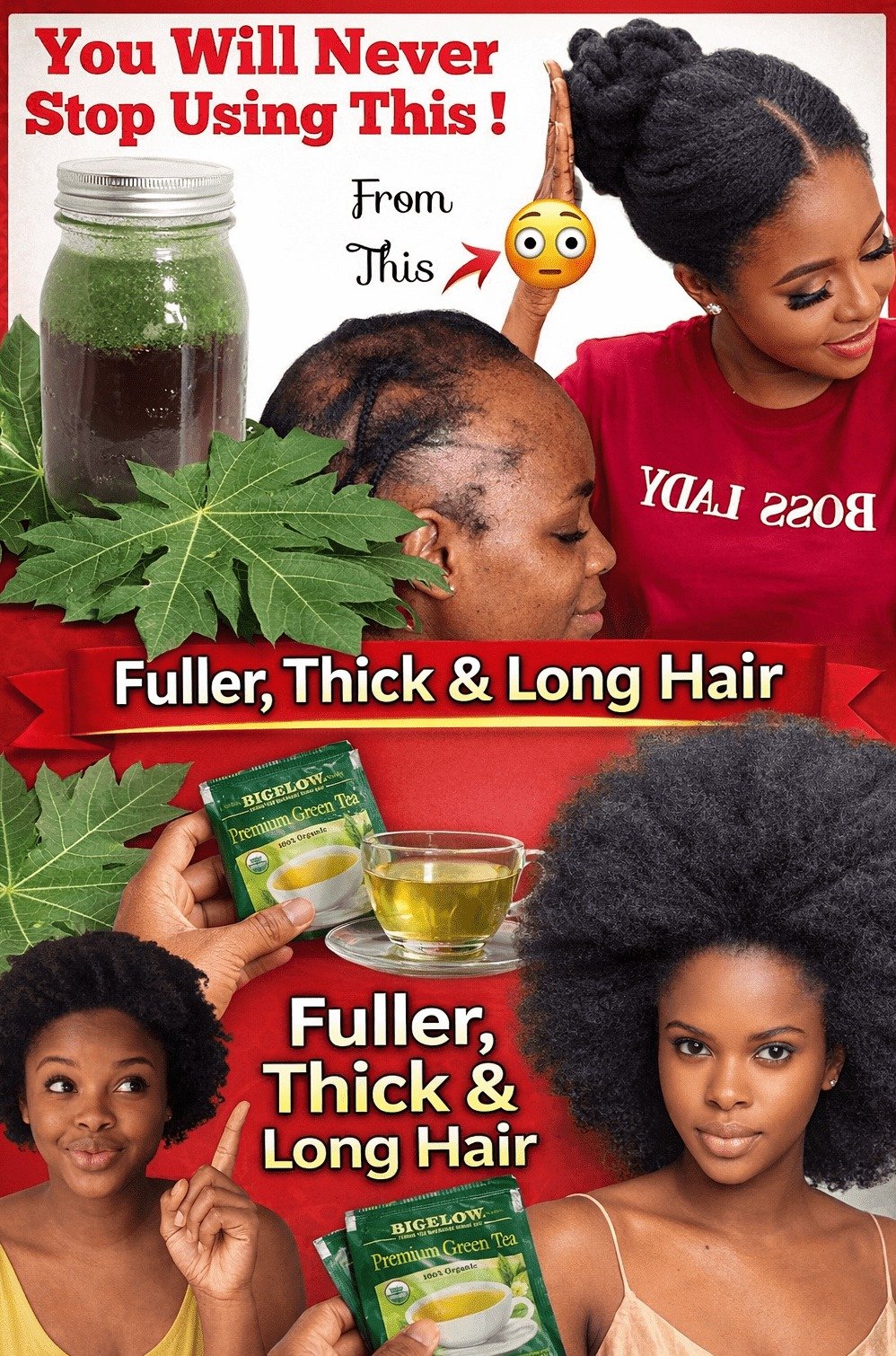 The #1 Hair Growth Secret Hiding in Plain Sight: Why Papaya Leaves Are About to Revolutionize Your Routine (You'll Wish You Knew Sooner!)