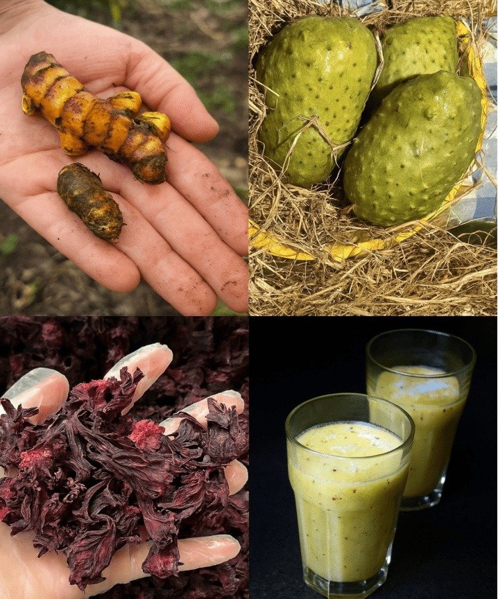 Harnessing Nature's Power: Turmeric, Soursop, and Hibiscus for Antioxidant Wellness
