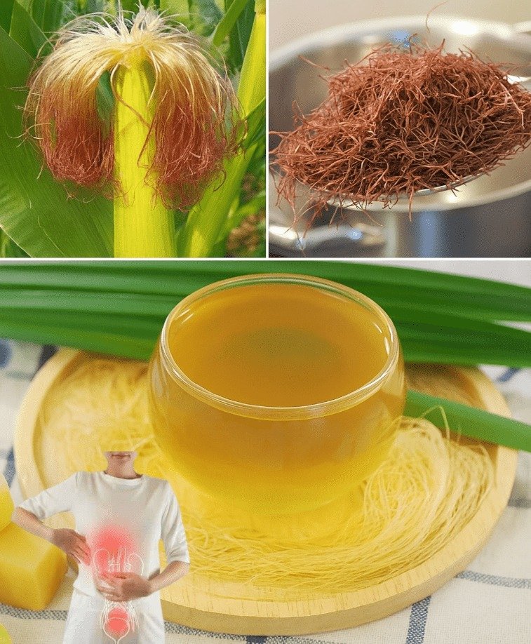 Unlocking the Potential of Corn Silk Tea for Optimal Kidney and Urinary Health