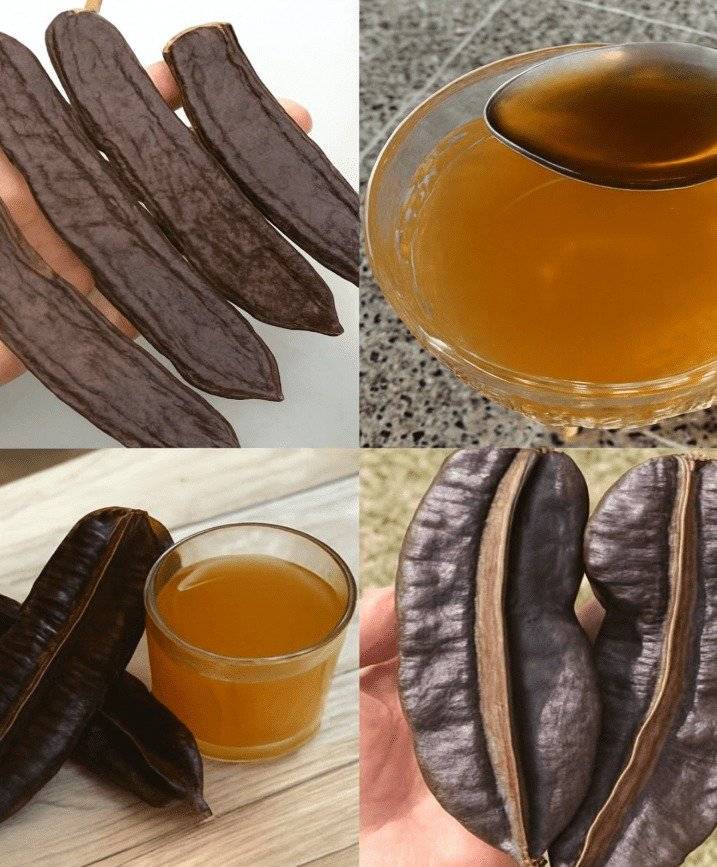 Discovering the Remarkable Health Advantages of Carob Pod Tea: 7 Essential Benefits