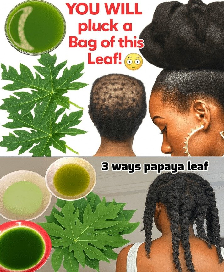 Papaya Leaf Juice: A Natural Elixir for Robust Hair Growth