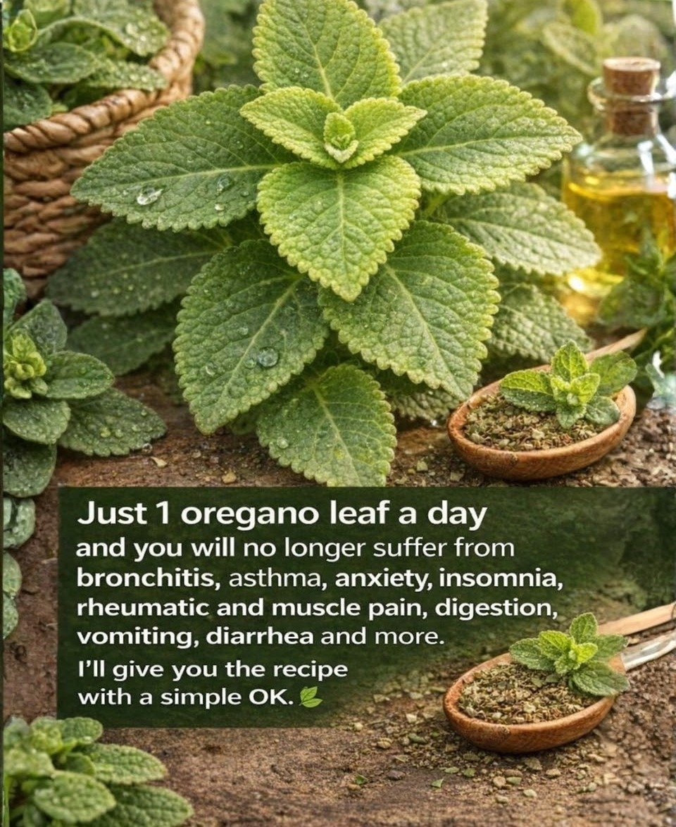 Daily Oregano Leaf: A Simple Ritual for Enhanced Wellness