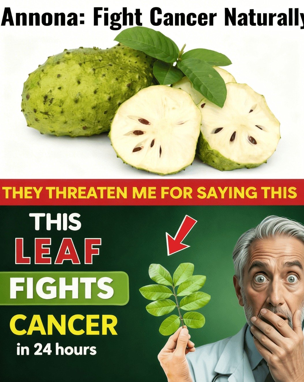 Tired, Stressed, Bloated? This ONE Forgotten Tropical Leaf Could Be Your Daily Secret to Unstoppable Energy, Perfect Digestion & Deepest Sleep!