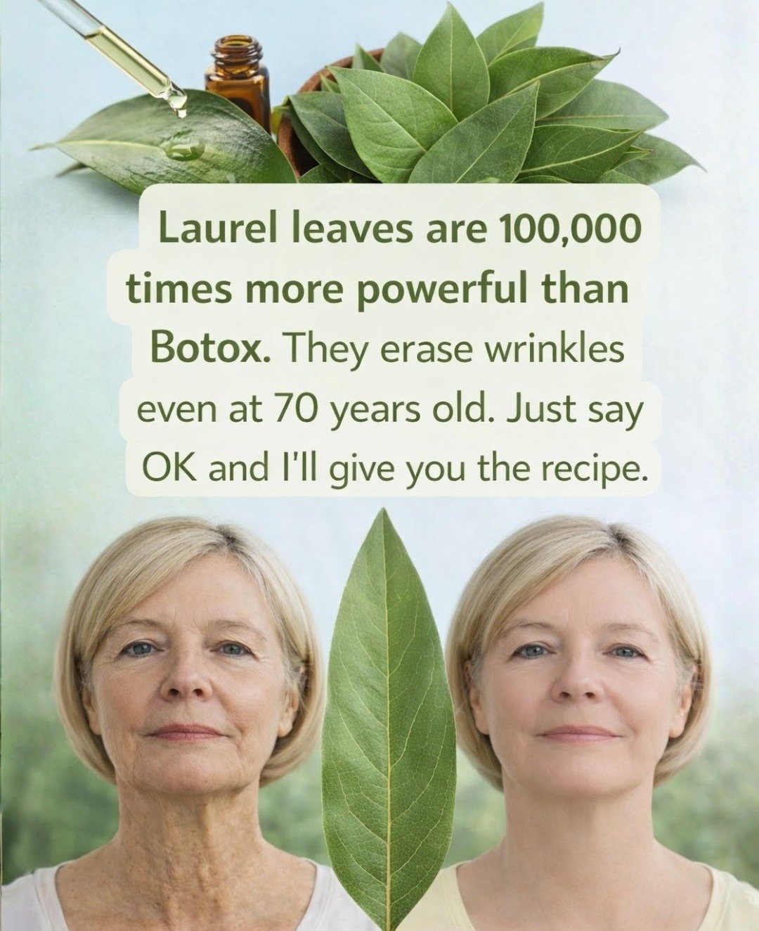 Discover Bay Leaf: A Natural Anti-Aging Skincare Solution for Youthful, Nourished Skin