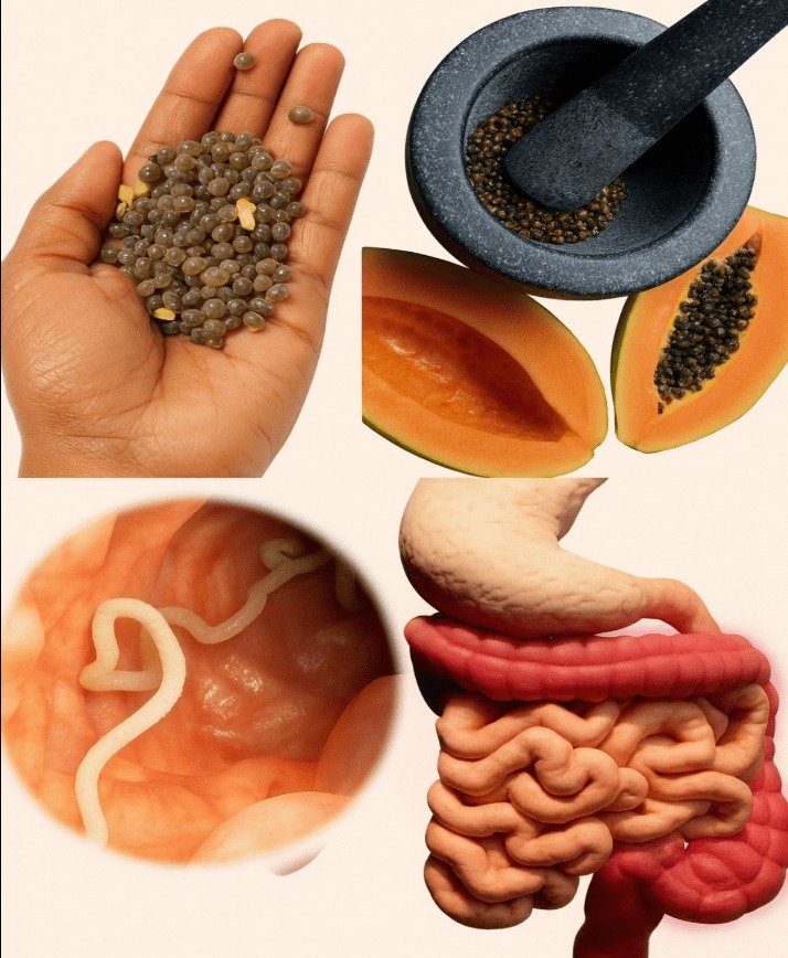 Papaya Seeds: Unlocking Nature's Secret for Optimal Gut Wellness