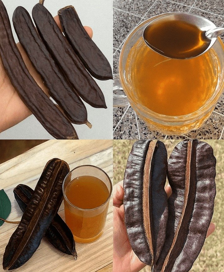 Unlocking Natural Wellness with Carob Pod Tea: 10 Essential Insights