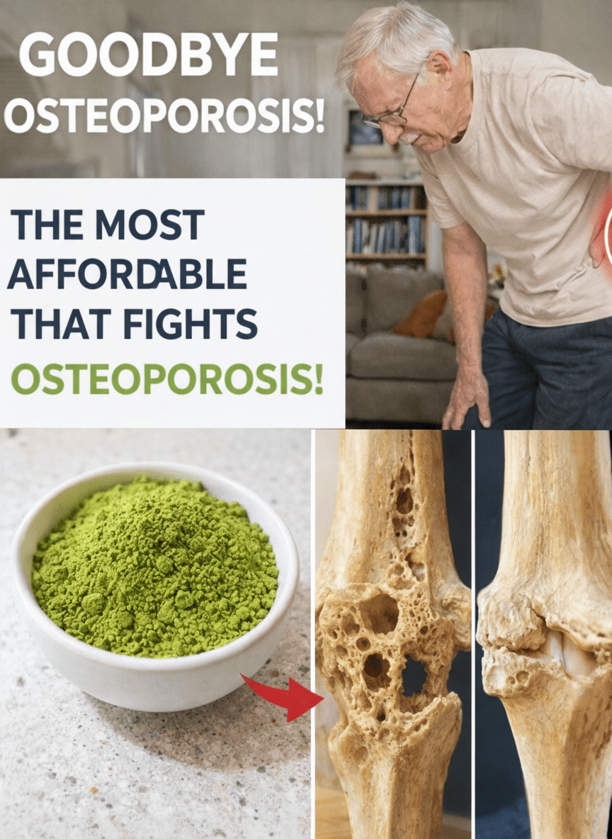 Moringa: The Budget-Friendly Bone-Boosting Secret for Seniors Over 60