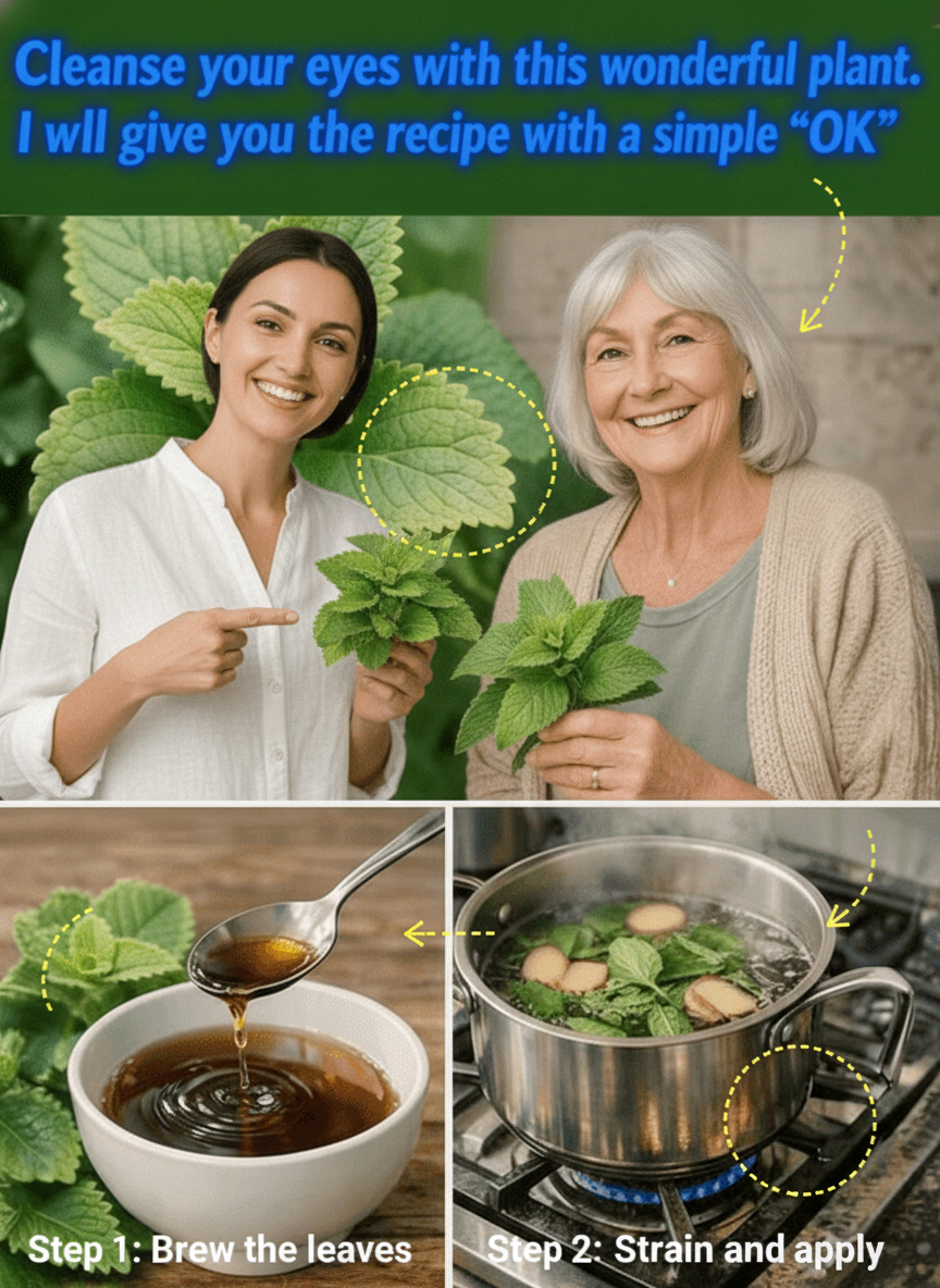 Discover Natural Eye Comfort: A Daily Oregano Orejón Ritual for Enhanced Vision Wellness