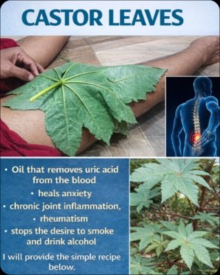 The ONE Ancient Oil That Can Transform Your Hair & Health — And Why You're Not Using It Yet!