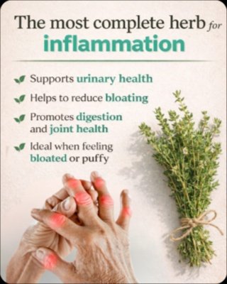 The Kitchen Herb That Doctors DON'T Tell You About: 4 Thyme Remedies for Vertigo, Fibromyalgia & More!