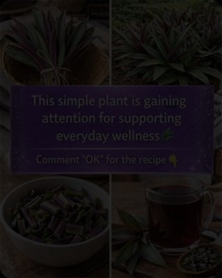 The Ancient Secret You're Missing: This Purple Plant Unlocks 6 Incredible Wellness Benefits!