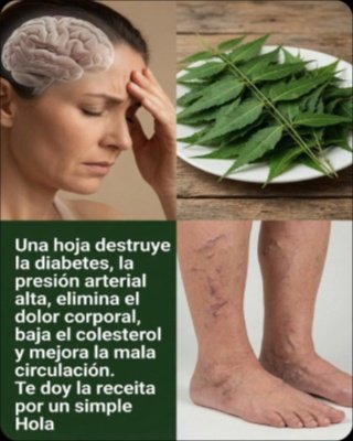 Unlock Nature's Secret Weapon: The 7 Astonishing Benefits of Neem Leaves (And 1 Crucial Warning You Can't Ignore!)