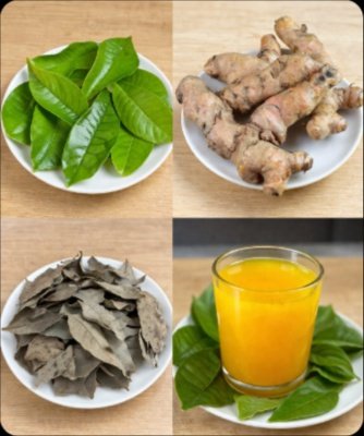 Unlock Your Gut's Secret: This 10-Day Herbal Elixir Could REVOLUTIONIZE Your Digestion and Wellness!