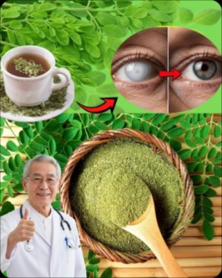 The 'Tree of Life' Secret: How THIS Tiny Seed Can Transform Your Liver & Cholesterol (Don't Miss Out!)
