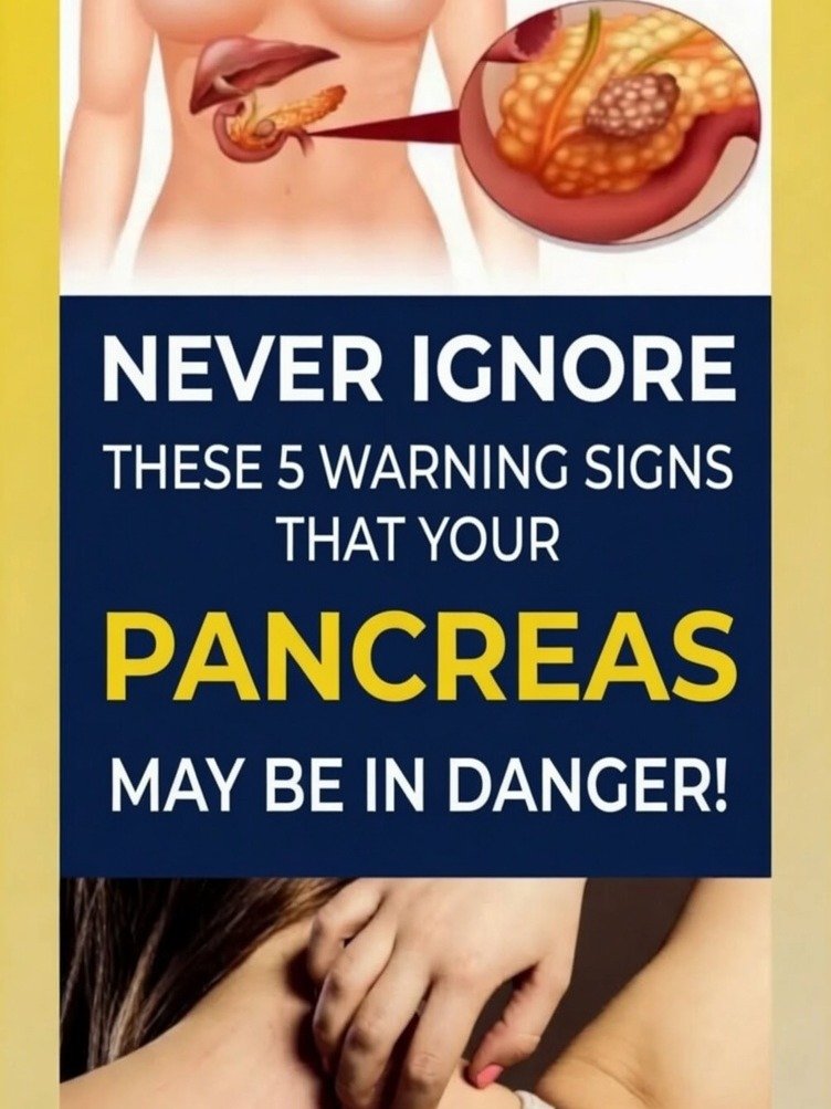 Your Pancreas Is Begging for Help! 5 Hidden Signs You're Missing (And 4 Simple Hacks to Save It)