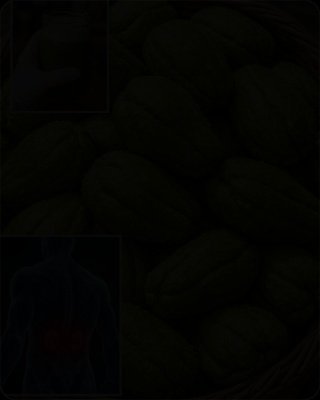 The 2-Ingredient Wellness Secret You're Missing: How Chayote & Lemon Can Transform Your Energy, Circulation, and Joint Comfort!